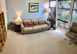 Matthew-Litschi-Austin-Therapy-Office